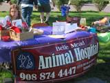 Belle_Meads_Table_2011_Feral_Cat_Fun_Day0021.JPG