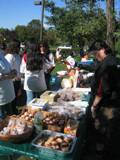 Food_to_eat__2011_Feral_Cat_Fun_Day0027.JPG