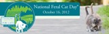 National_Feral_Cat_Day.jpg