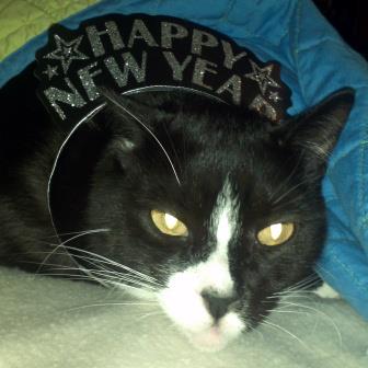 Gemini_Happy_New_Year_2013.jpg