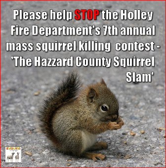 Stop_the_Squirrel_Slam.jpg