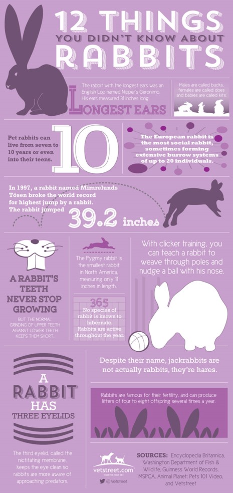 easter-infographic-645sm41114.jpg