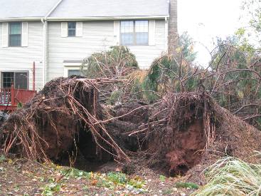 Hurricane_Sandy_2012_three.JPG