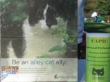 Alley_Cat_Allies_and_CAPIC_2011_Feral_Cat_Fun_Day0008.JPG