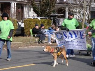 St_Patricks_Parade_SAVE_2012.jpg