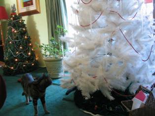 2011_Xmas_tree_Blog_one.JPG