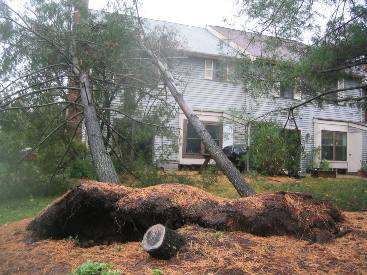 Hurricane_Sandy_2012.JPG