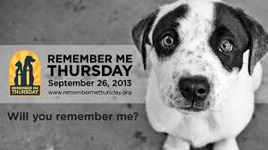 Remember-Me-Thursday-Mike-Arms-pet-expert-Steve-Dale-Gregory-Castle-Best-Friends-pet-adoption.jpeg