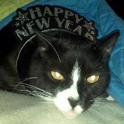 Gemini says Happy New Year 2013