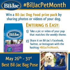 biljacPetMonthPin_BestBilJacPose26-31.jpg