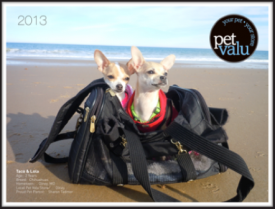 Taco__Lola_Pet_Valus_2013_Calendar_Winners.png