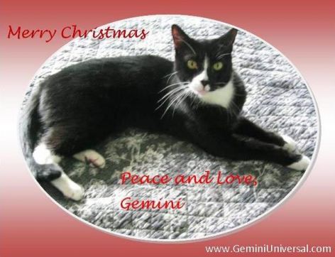 Gemini_xmas_card_2014.jpg