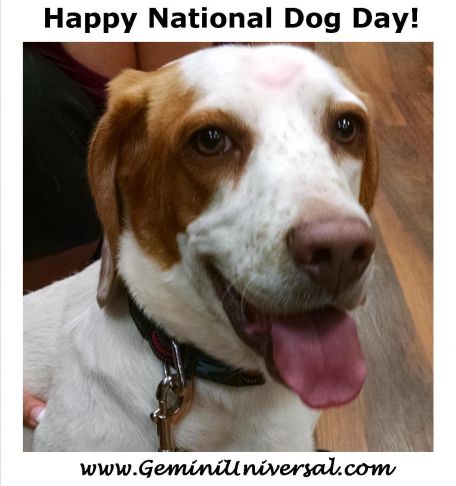Happy_National_Dog_Day.jpg