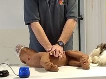 Pet CPR dog.jpg