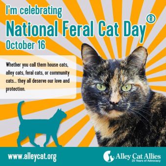 National_Feral_Cat_Day_2015.jpg