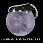 Logo Gemini Universal LLC Feb 2021.jpg